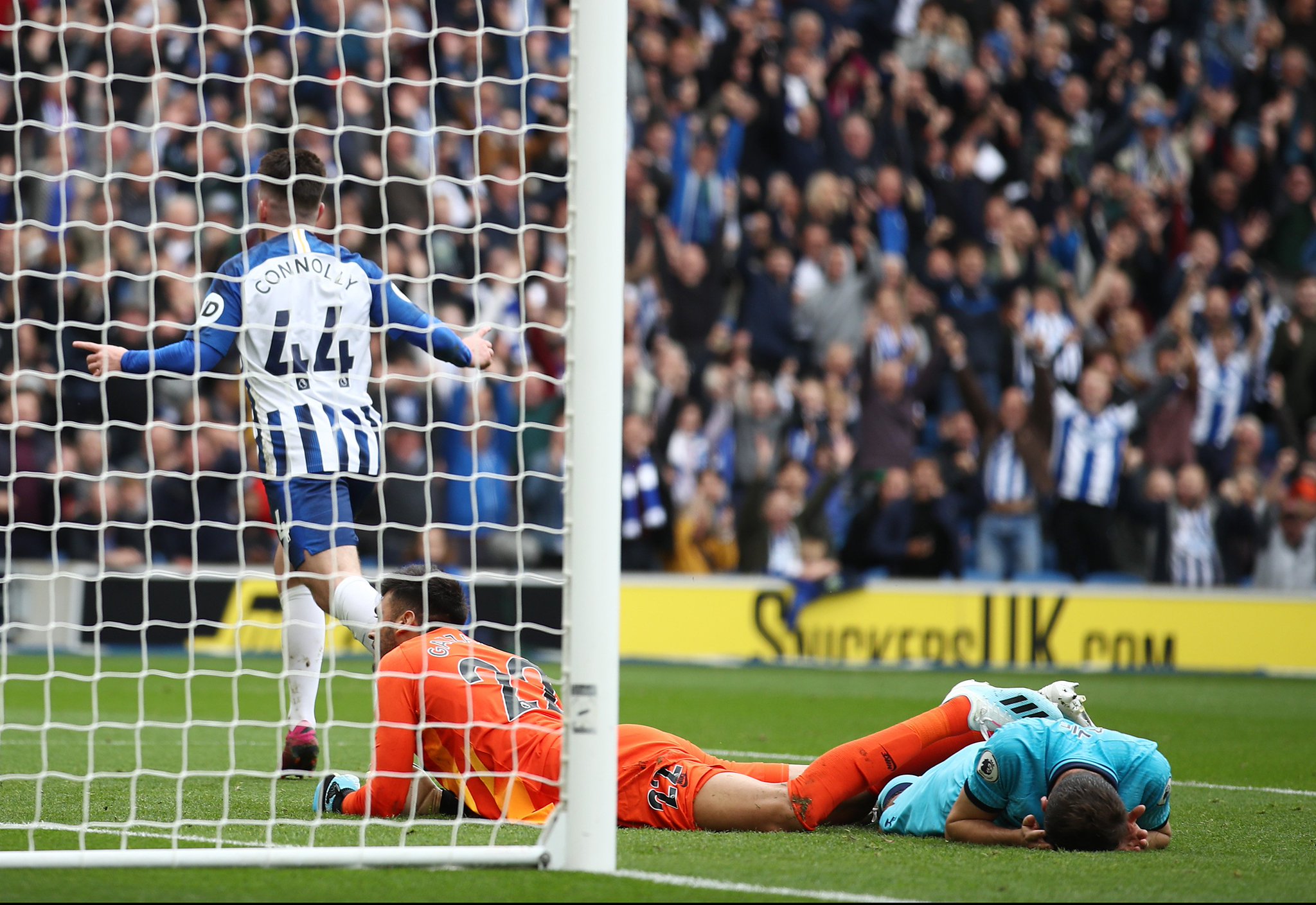 这种引进成 这种引进成