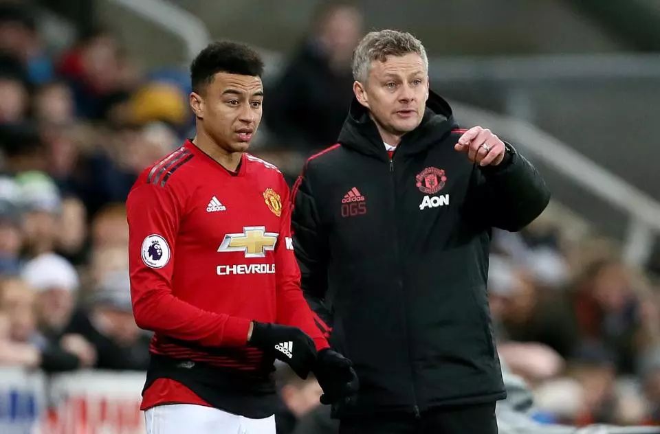 比利时新星 比利时新星